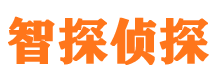 赤坎外遇出轨调查取证